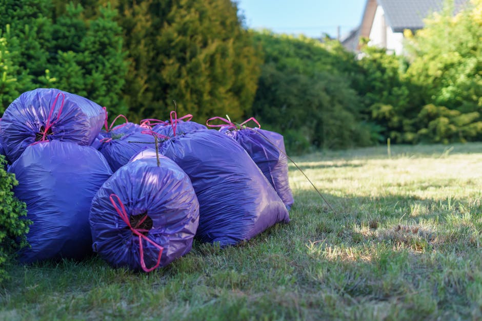 A cluster of several large purple rubbish bags made of glossy plastic, tightly sealed with red ties, positioned on a well-maintained grassy area adjacent to a hedge with dense green foliage. The bags are stacked in an uneven arrangement, with some leaning against each other and others lying on the ground. In the background, there are trees with lush green leaves, along with parts of residential buildings with grey rooftops visible at the edge of the scene. The scene is lit by natural daylight, casting soft shadows on the grass, suggesting a clear, sunny day. The landscape appears to be an outdoor setting, possibly a garden or yard, where private waste disposal, such as rubbish collected through independent waste services, might be temporarily stored before collection or removal. The environment is tidy, without other visible debris or clutter, emphasizing a scene related to rubbish management and disposal suitable for a waste removal or rubbish collection context.